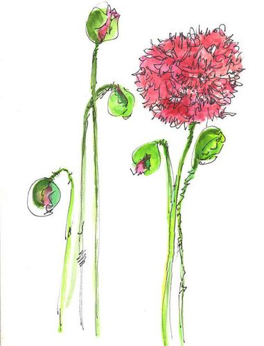 位图 写意花卉 植物 花朵 免费素材产品工业素材免费下载(图片编号